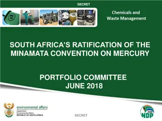 South Africa's Ratification of the Minamata Convention on Mercury