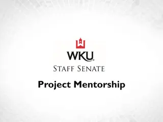 Professional Development Through Project Mentorship Program