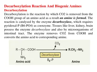 Decarboxylation Reaction and Biogenic Amines in Amino Acid Metabolism