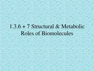 Structural Roles of Biomolecules in Living Organisms