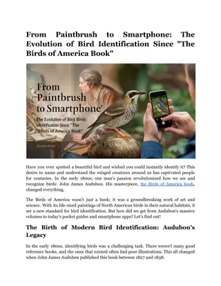 From Paintbrush to Smartphone: The Evolution of Bird Identification Since 