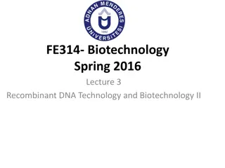 Applications of Recombinant DNA Technology in Biotechnology