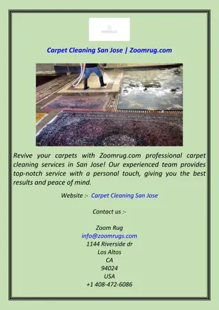 Revive your carpets with Zoomrug.com professional carpet