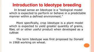 Understanding Ideotype Breeding in Crop Improvement