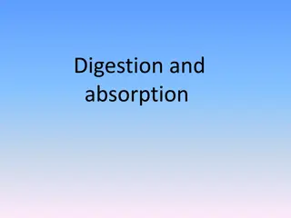 Carbohydrate Digestion and Absorption