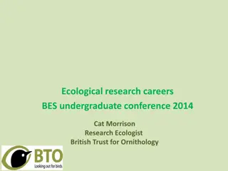 Career Insights: Becoming an Ecologist at the British Trust for Ornithology