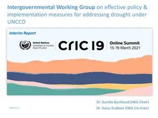 The Intergovernmental Working Group on Drought Policy Implementation