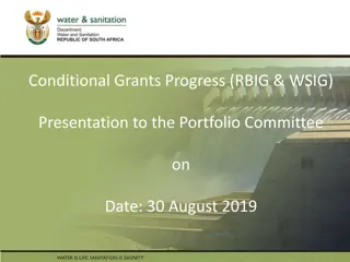 Progress Report on Conditional Grants (RBIG & WSIG)