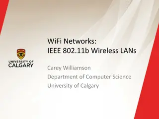 IEEE 802.11b Wireless LANs