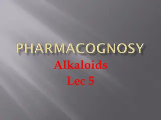 Overview of Alkaloids in Pharmacology