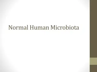 Normal Human Microbiota and Its Role in Health