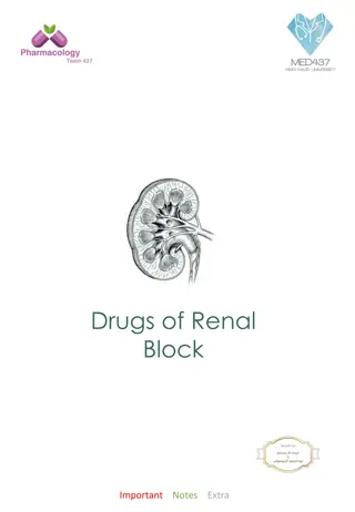 Renal Block: Drugs, Excretion, and Treatment Essentials