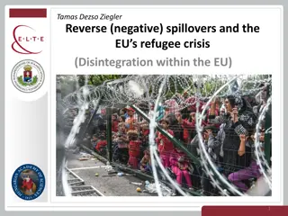 Disintegration Within the EU: Negative Spillovers and the Refugee Crisis by Tamas Dezso Ziegler