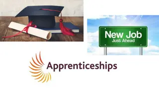 Career Options and Apprenticeships