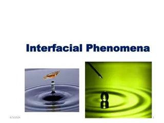 Interfacial Phenomena in Surfactant Solutions