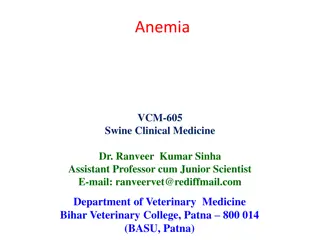 Anemia in Swine: Causes, Clinical Signs, and Treatment