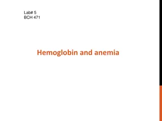 Hemoglobin: Synthesis, Functions, and Influence on Anemia