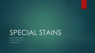 Special Stains in Pathology