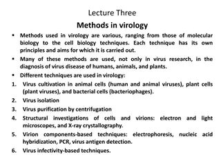 Overview of Virology Methods: Cultivation, Isolation, Purification