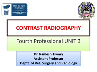 Contrast Radiography in Veterinary Surgery and Radiology