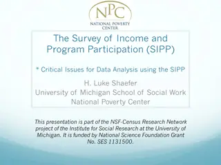 Analyzing Data Complexity in the Survey of Income and Program Participation (SIPP)