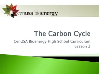 Carbon Movement in the Environment