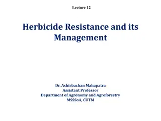 Herbicide Resistance in Weeds: Insights and Management Strategies