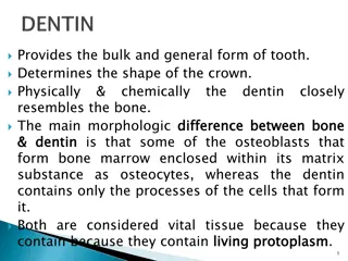 Understanding the Composition and Structure of Dentin