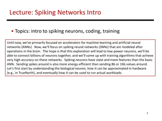 Spiking Neurons and Spiking Neural Networks