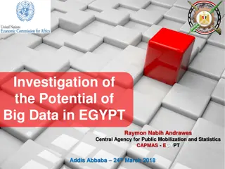 Exploration of Big Data Potential in Egypt by Raymon Nabih Andrawes