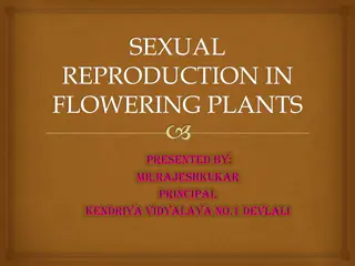 Sexual Reproduction in Flowering Plants