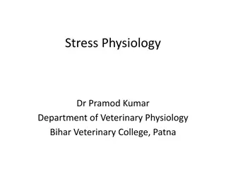 Stress Physiology in Animals