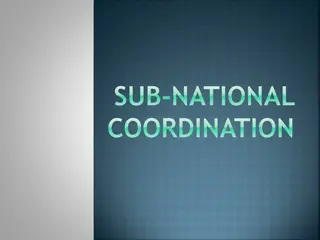 Sub-National Coordination: Benefits and Implementation