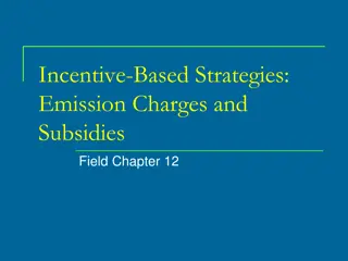 Implementing Emission Charges and Subsidies for Efficient Pollution Control