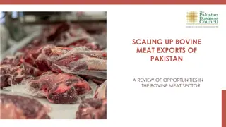 Opportunities for Scaling up Bovine Meat Exports in Pakistan