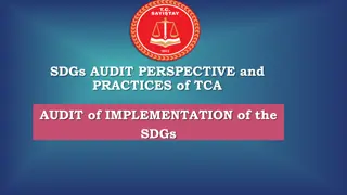 Audit Practices for SDGs Implementation Evaluation in Turkey