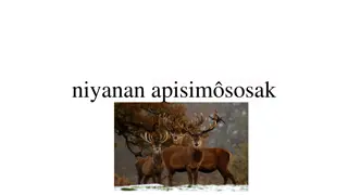 Heartwarming Tale of the Deer and Moose