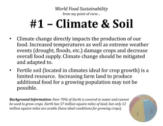 Holistic Approach to World Food Sustainability