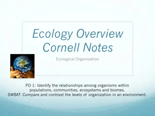 Ecological Organization in the Environment