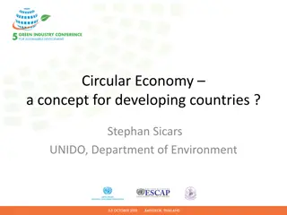 Circular Economy as an Opportunity for Developing Countries