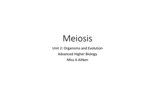 Meiosis: Key Concepts in Biological Evolution