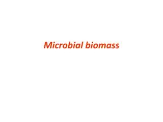 Industrial Applications of Microbial Biomass Production