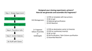 Cloning Experiment Overview and Procedures