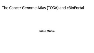 The Cancer Genome Atlas (TCGA) Project