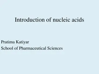 Overview of Nucleic Acids in School of Pharmaceutical Sciences