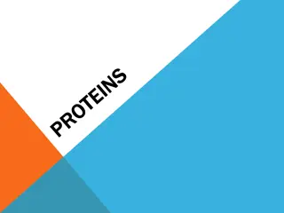 Amino Acid: Structure and Classification Overview