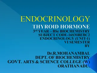 Thyroid Hormones and Their Role in Metabolism