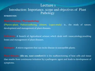 Plant Pathology: Importance, Scope, and Objectives