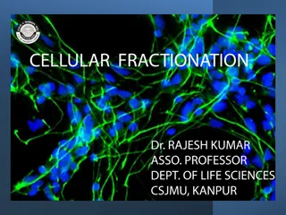 Cellular Fractionation: Techniques and Applications