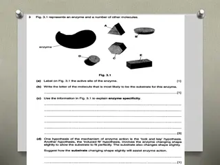 Factors Affecting Enzyme Activity and Kinetics Experiments